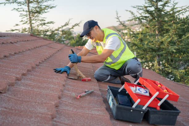 Best Emergency Roof Repair Services  in South Rockwood, MI